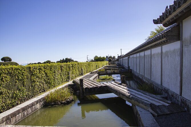 Private Car Tour from Shimizu Port to Visit Kakegawa Tea Culture - In-Depth Review of the Tour Experience