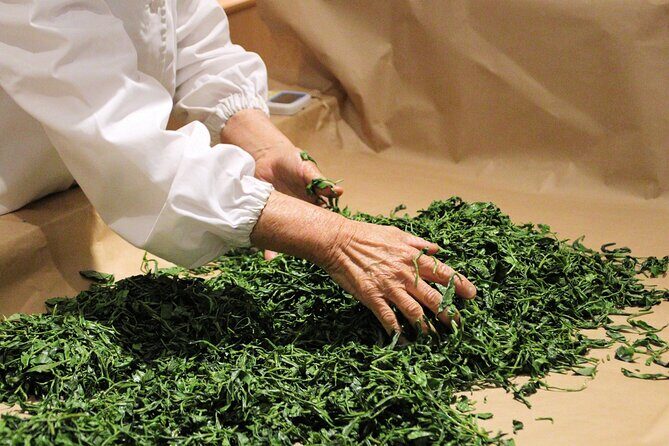 Private Car Tour from Shimizu Port to Visit Kakegawa Tea Culture - What to Expect from the Itinerary