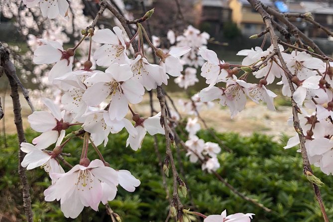 Private Car Tour in Kyoto (Up to 4) - Tour Details