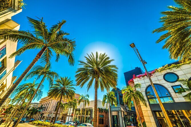 Private Car Tour LA Hollywood Beverly Hills Venice Santa Monica - Cost and Value Consideration