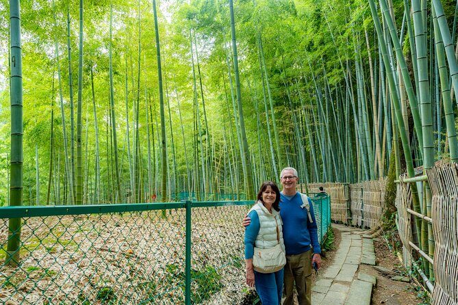 Private Car Tour to KYOTO, OSAKA or NARA | KOBE Shore Excursion - Exploring Osaka: Vibrant City Life and Iconic Landmarks