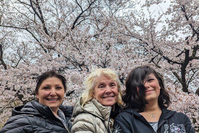 Private Car Tour to Mt. Fuji and Kawaguchiko or Hakone - A Closer Look at the Tour Experience