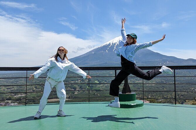 Private Car Tour to Mt. Fuji and Kawaguchiko or Hakone - Final Thoughts