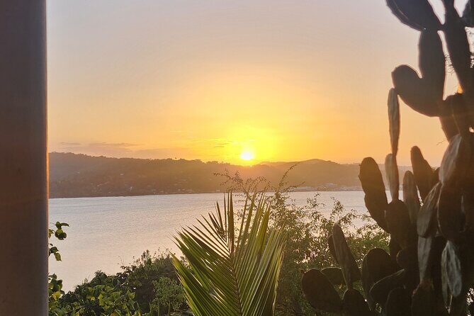 Private Car Tour to Negril Jamaica - Transportation and Overall Comfort