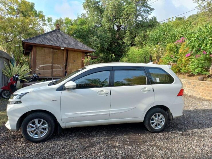 Private Car Tour With Guide - Booking Details for the Private Car Tour