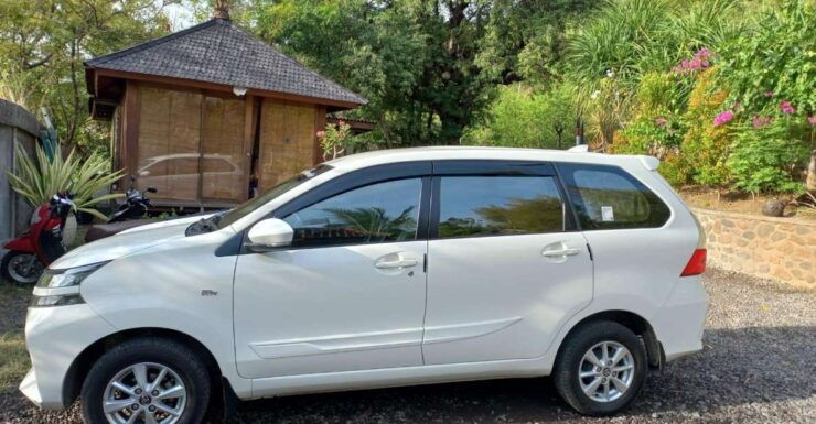 Private Car Tour With Guide - Tour Experience Highlights and Inclusions