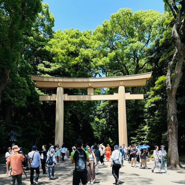 Private Car Tour With Meiji Shrine, Skytree, and Odaiba - Good To Know