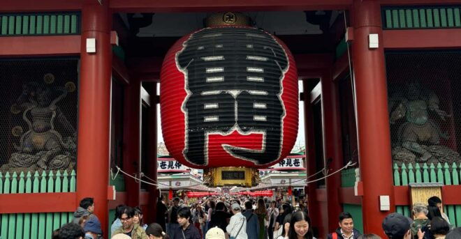 Private Car Tour With Meiji Shrine, Skytree, and Odaiba - Accessibility Features