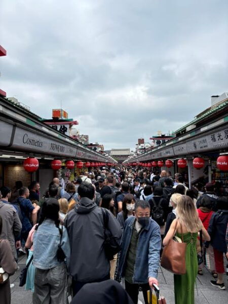 Private Car Tour With Meiji Shrine, Skytree, and Odaiba - Important Tour Policies