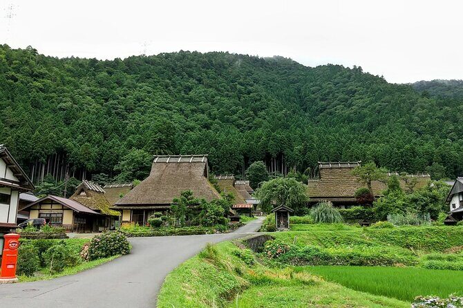 Private Car Tours to Kyoto and Maizuru - Authentic Insights from Past Travelers