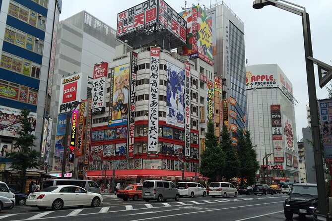 Private Car Transfer From Narita Airport to Tokyo - Public Transportation Availability