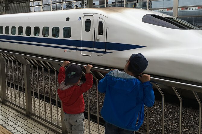 Private Car Transfer From Narita Airport to Tokyo - Questions and Pricing