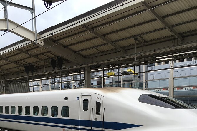 Private Car Transportation From Haneda Airport to Tokyo/Yokohama - Proximity to Public Transportation and Health Considerations