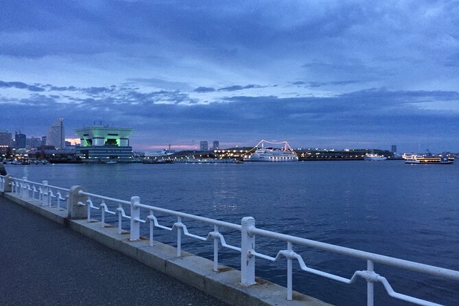 Private Car Transportation From Haneda Airport to Tokyo/Yokohama - Additional Information and Participation Details
