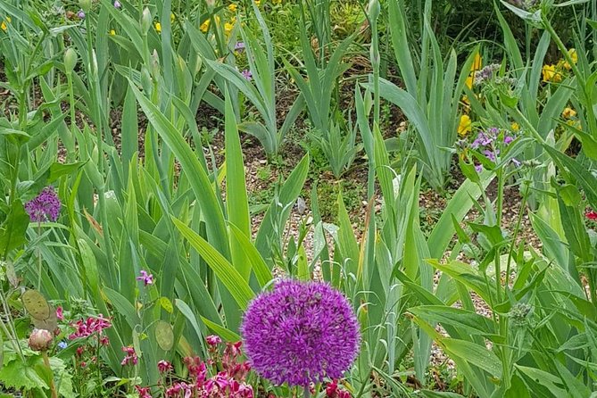 Private Car Trip to Giverny Garden From Paris - Reserve Now & Pay Later