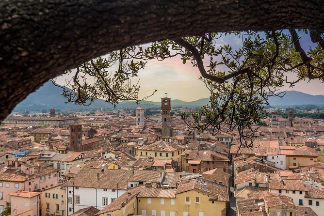 Private Car Trip to Lucca and Pisa From Florence (8 H) - Good To Know