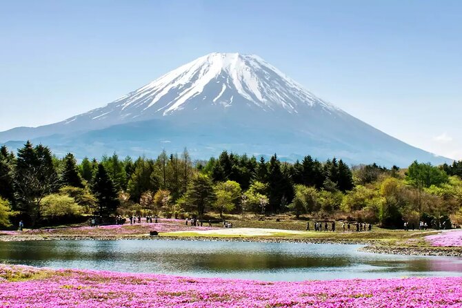 Private Car/Van Charter Full Day Tour MT Fuji And Hakone, (Guide) - Itinerary Overview