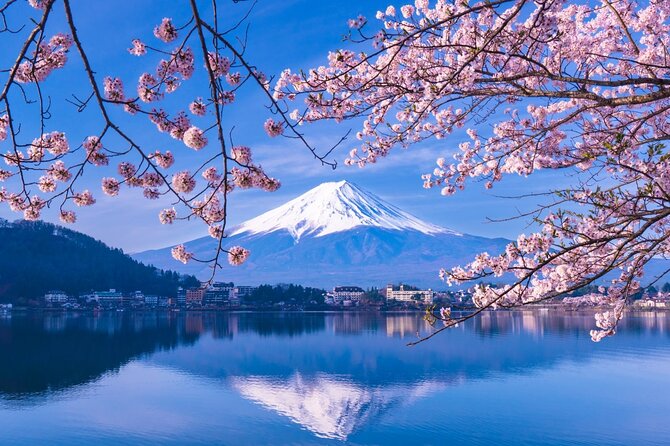 Private Car/Van Charter Full Day Tour MT Fuji And Hakone, (Guide) - Hakone Sightseeing