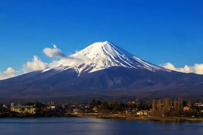 Private Car/Van Charter Full Day Tour MT Fuji And Hakone, (Guide) - Private Guide Services