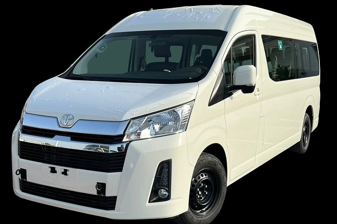 Private Car With Professional Driver Will Be With You Full Day - Accessibility Information