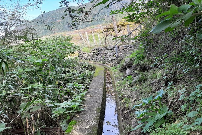 Private Cardais Half-Day Walking Experience - Pricing and Booking Details