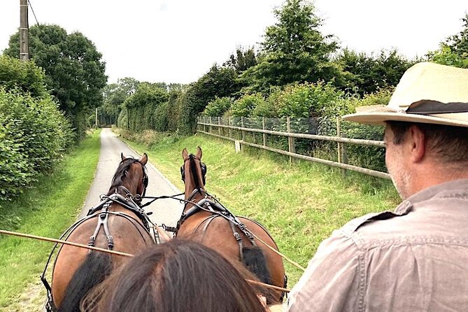 Private Carriage Ride in Saint-Pierre-Azif - All Fees and Taxes