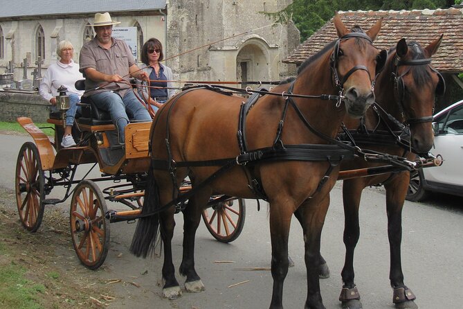 Private Carriage Ride in Saint-Pierre-Azif - Meeting and Pickup Details - Meeting Point