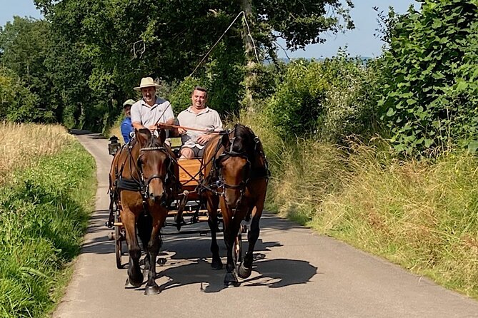 Private Carriage Ride in Saint-Pierre-Azif - Common Questions