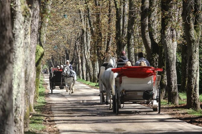 Private Carriage Ride in Vrelo Bosne Nature Park - Tour Details