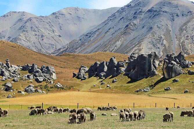 Private Castle Hill & Inland Canterbury Shore Excursion - The Sum Up