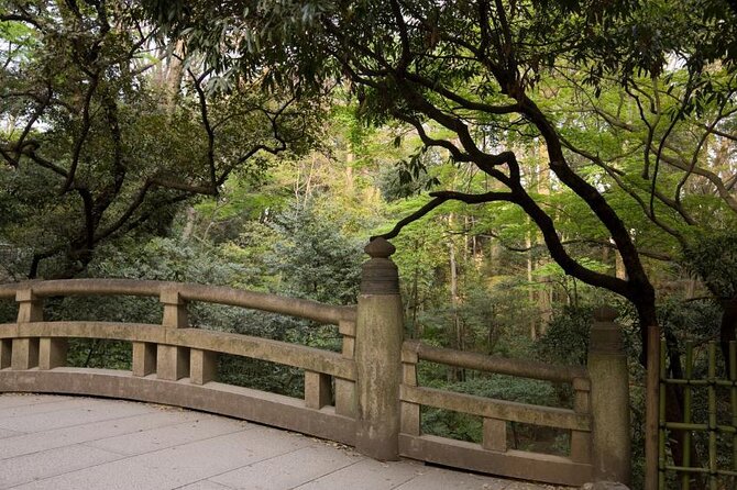Private Casual Photoshoot Tour in Tokyo - Pricing and Refund Policy