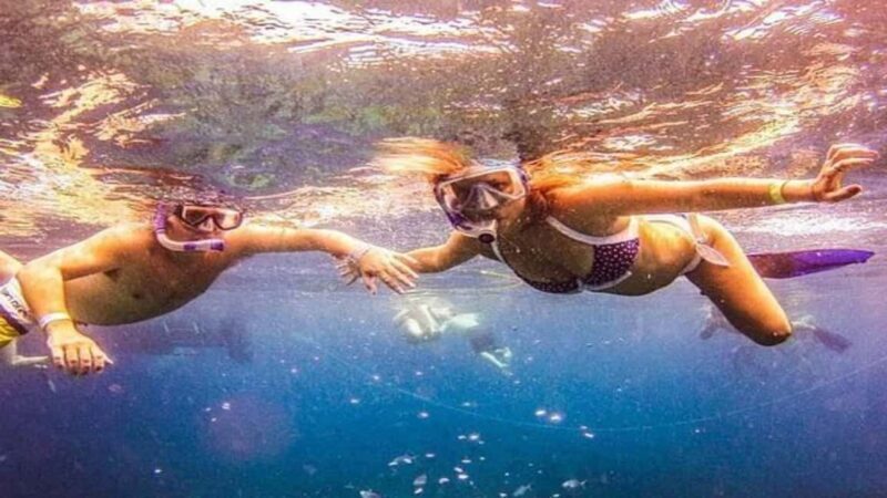 Private: Catalina Island Diving Tour with Lunch - What the Tour Includes & Practical Details