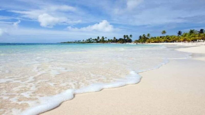 Private: Catalina Island Snorkeling & BBQ Boat Tour - Good To Know