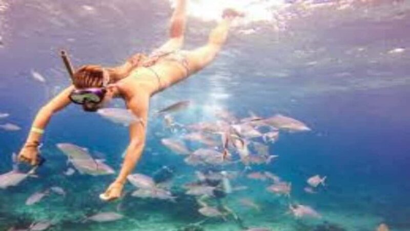 Private: Catalina Island Snorkeling & BBQ Boat Tour - Final Thoughts