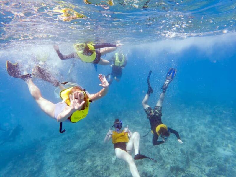 Private: Catamaran Adventure & Beach BBQ at Catalina Island - FAQ