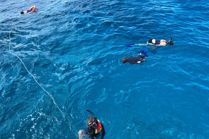 Private Catamaran Cruise and Snorkeling Tour in Honolulu - Directions