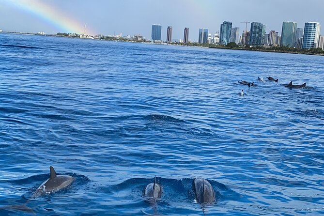 Private Catamaran Cruise and Snorkeling Tour in Honolulu - The Sum Up
