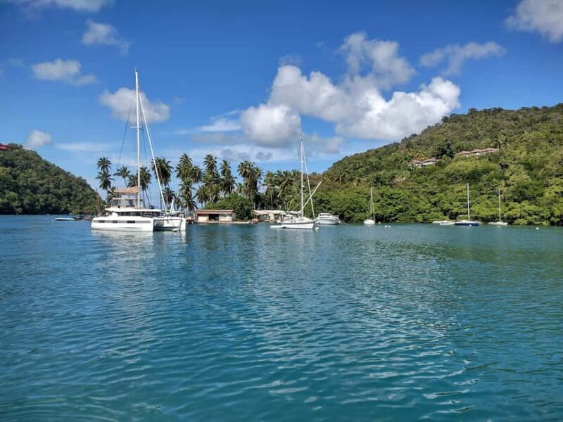 Private: Catamaran Day Trip to Cayo Levantado - Optional Excursions: Los Haitises or Whale Watching