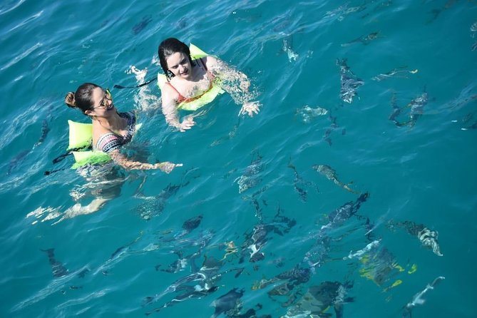Private Catamaran La Tortuga Snorkeling Cruise in Los Cabos - Important Information and Policies