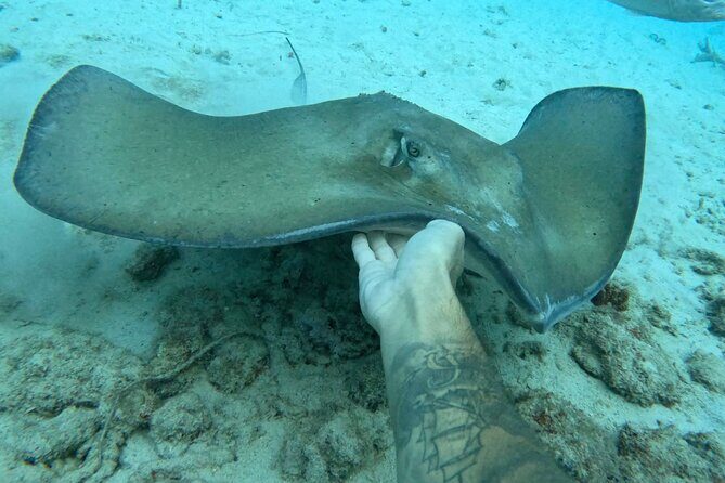 Private catamaran sail & snorkel - FAQ