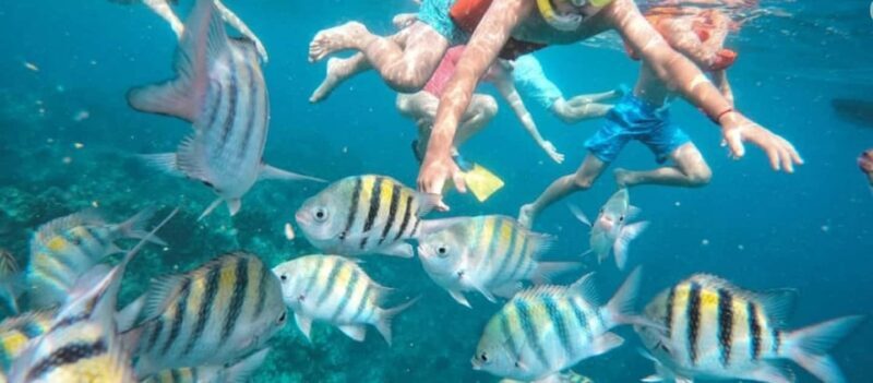 Private Catamaran Sail & Snorkel Ocho Rios  Open Bar Snacks - The Practicalities: What You Should Know