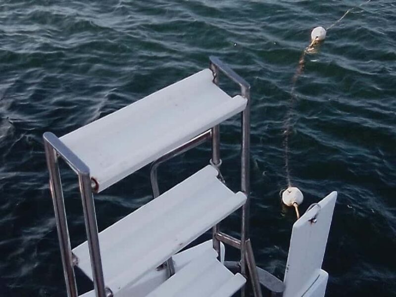 Private Catamaran Sail & Snorkel Ocho Rios  Open Bar Snacks - Authentic Experiences & Hidden Gems