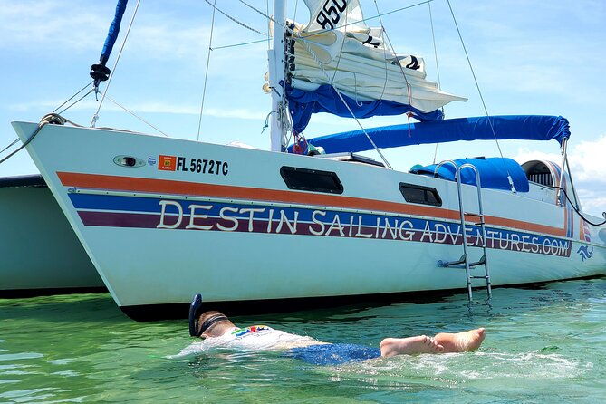 Private Catamaran: Snorkel, Swim and Dolphin Watching - What to Expect on the Tour