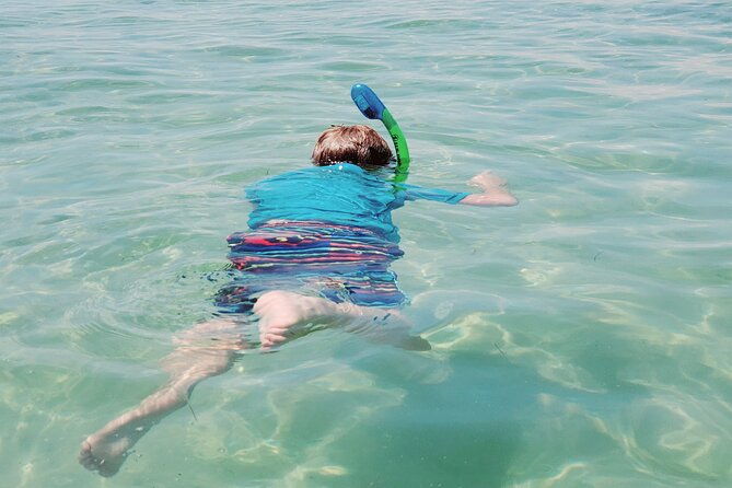 Private Catamaran: Snorkel, Swim and Dolphin Watching - FAQ