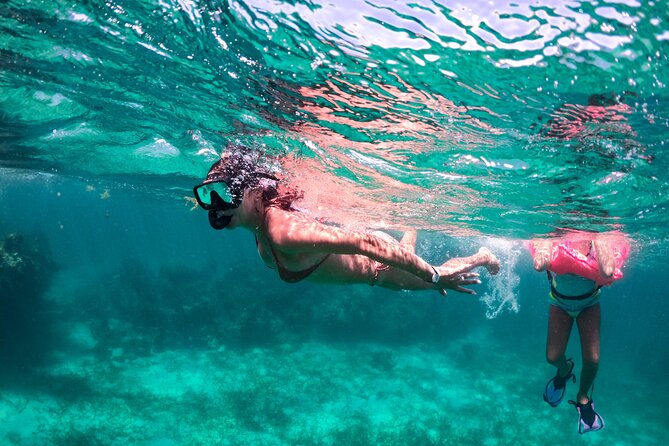 Private Catamaran Tour of Punta Cana - Terms and Conditions