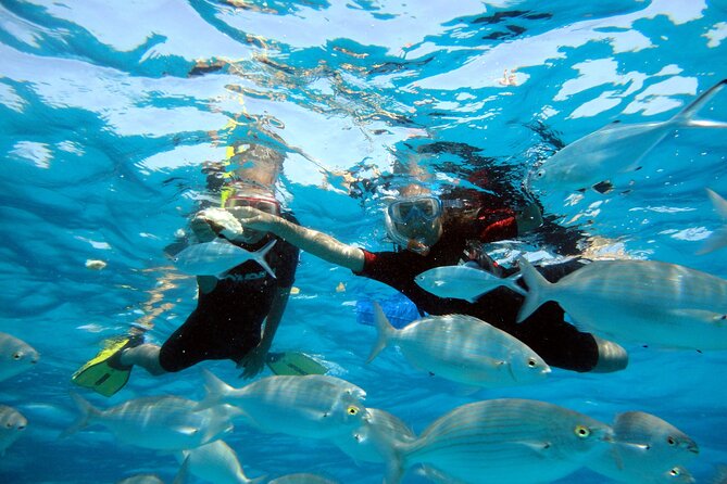 Private Catamaran Trips to Lobos Island and Lanzarote in Lagoon 400 - Common Questions