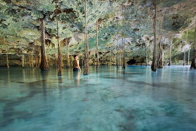Private Cenote Experience, swim in the heart of the Mayan Jungle - Good To Know