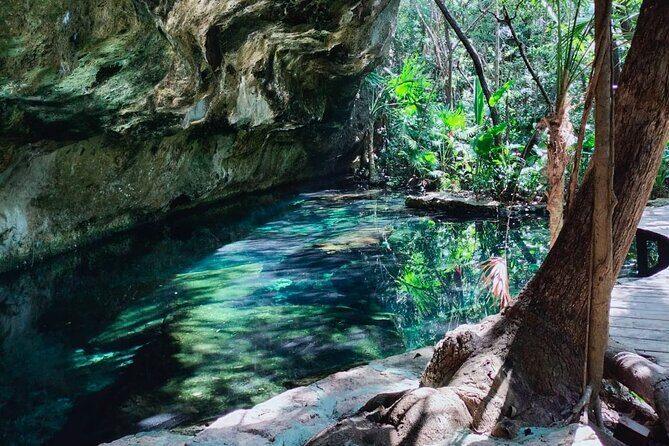 Private Cenote Experience, swim in the heart of the Mayan Jungle - An Authentic Mayan Jungle Adventure