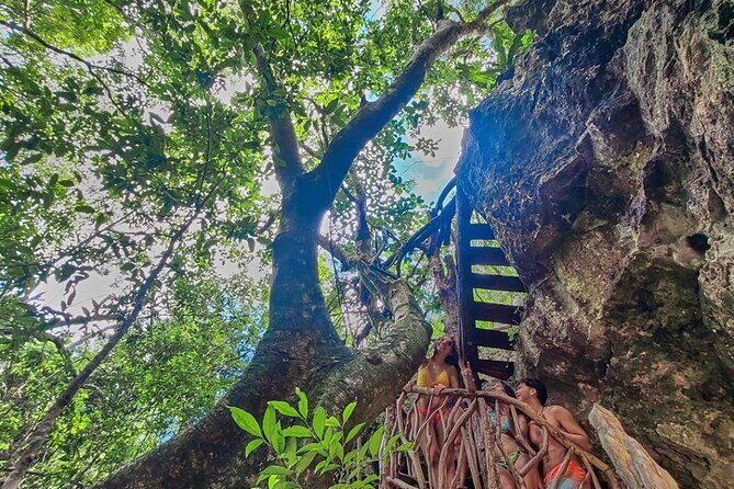 Private Cenote Experience, swim in the heart of the Mayan Jungle - Snorkeling and Water Activities