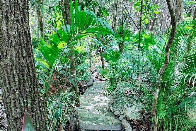 Private Cenote Experience, swim in the heart of the Mayan Jungle - The Comfort of Private Service
